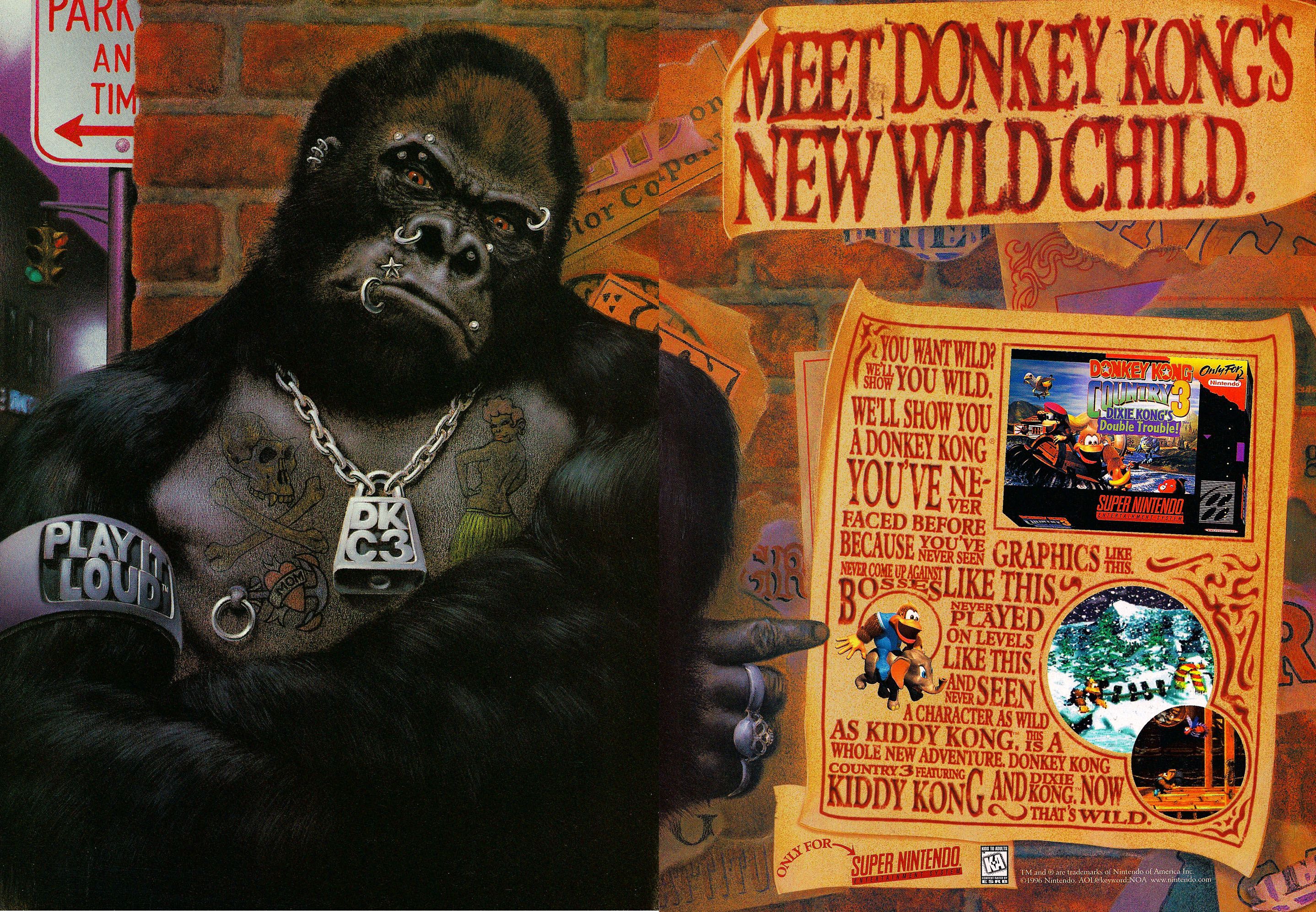 Donkey-Kong-Country-3-1.jpg